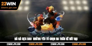 Đá Gà Cựa Dao - Những Yếu Tố Chọn Ra Thần Kê Bất Bại