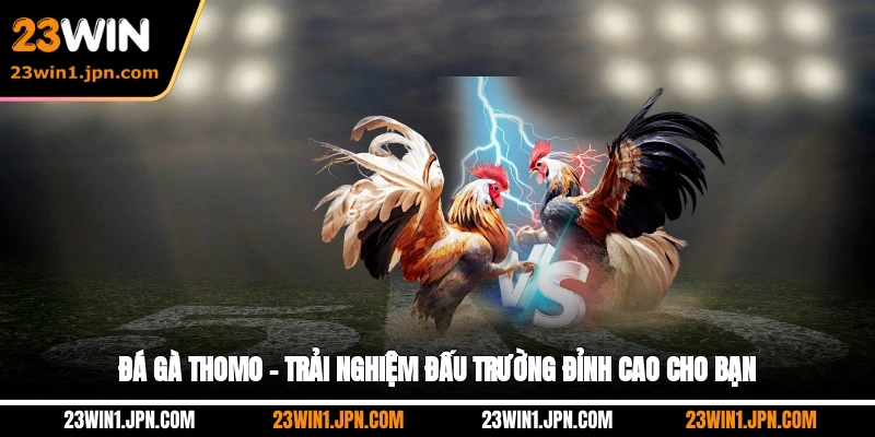 Đá Gà Thomo – Trải Nghiệm Đấu Trường Đỉnh Cao Cho Bạn